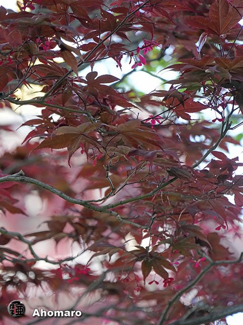 写真00