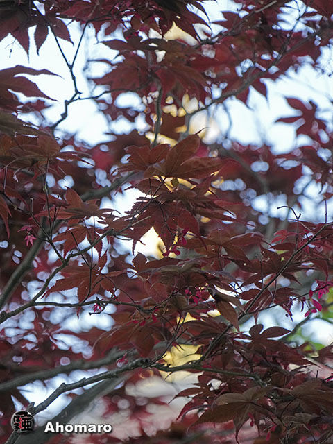 写真00