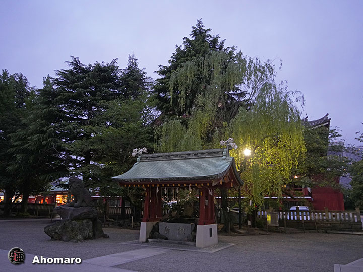 写真00