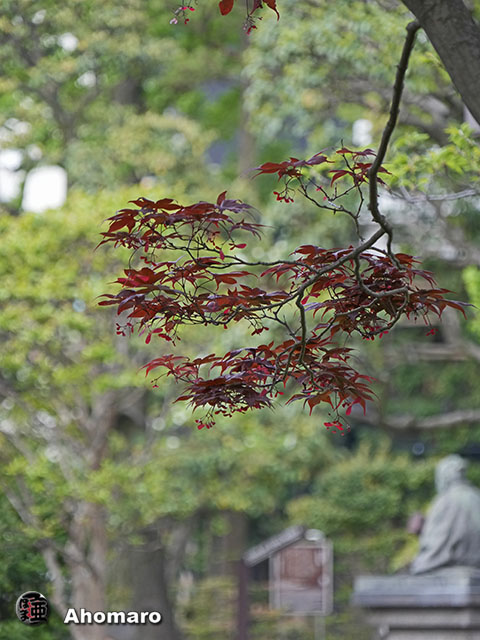 写真00