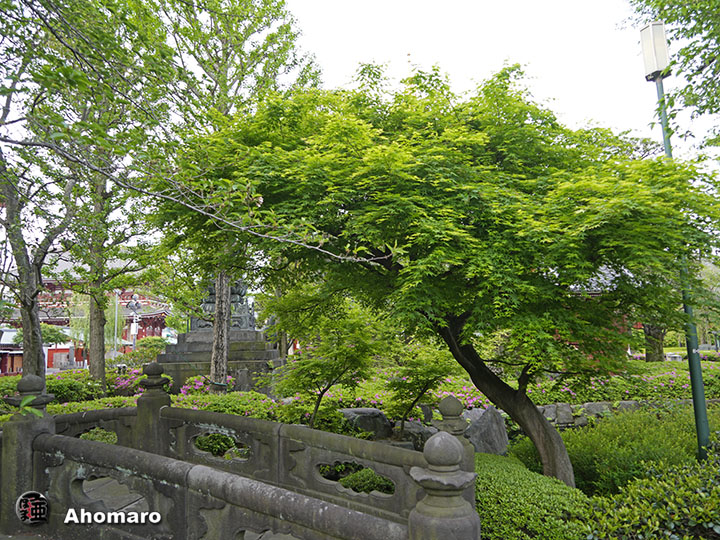 写真00