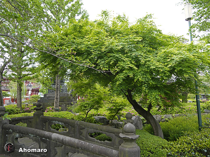 写真00