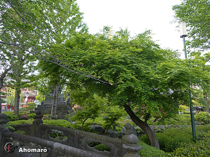 写真00