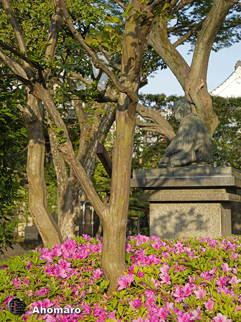 写真00