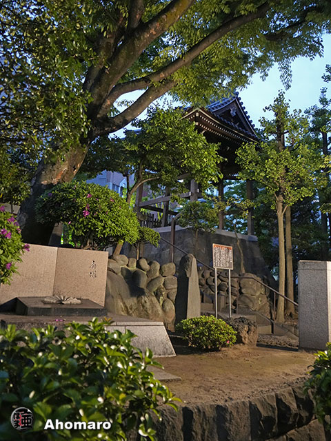 写真00
