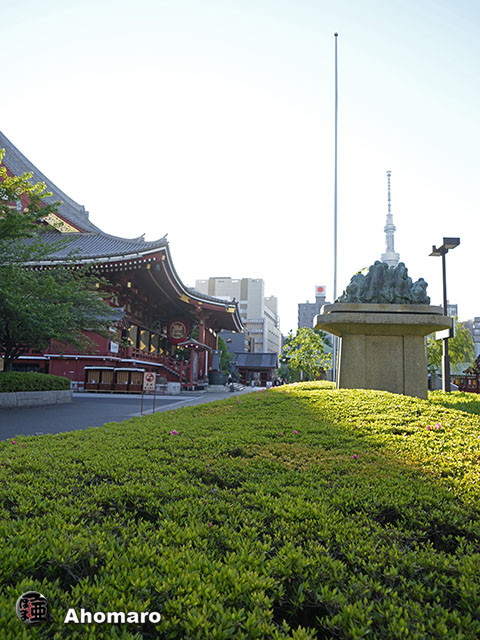 写真00