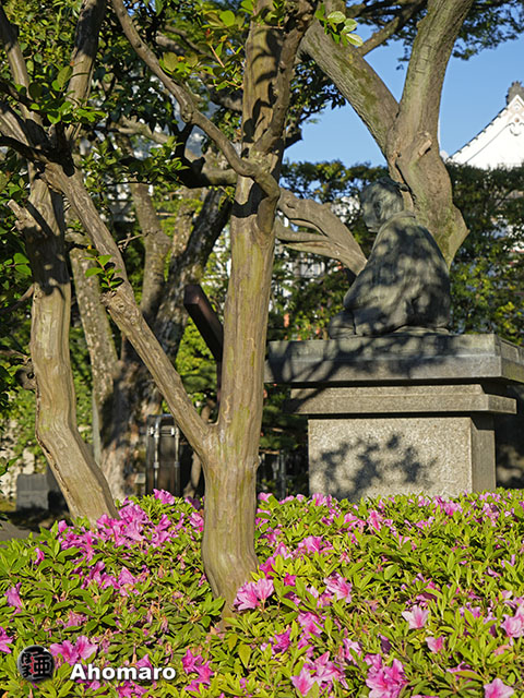 写真00