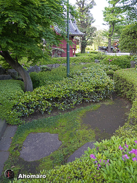 写真00