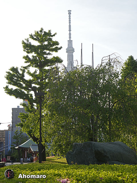 写真00
