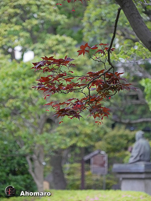 写真00