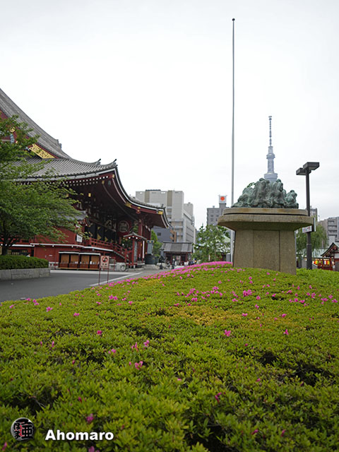 写真00