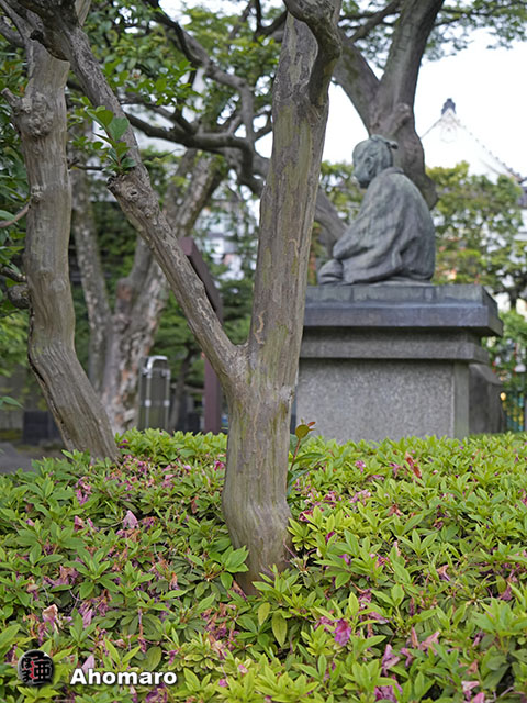 写真00