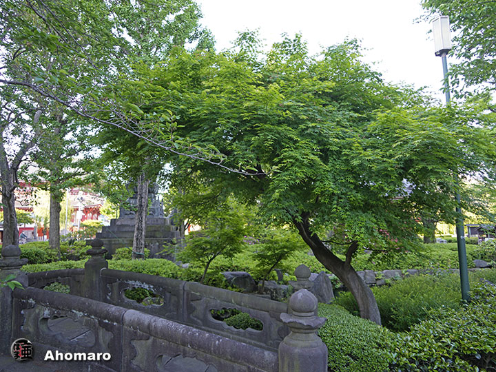 写真00