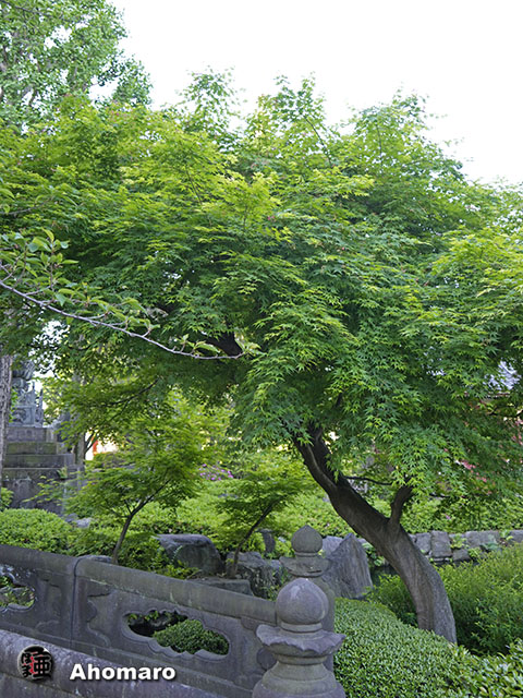写真00