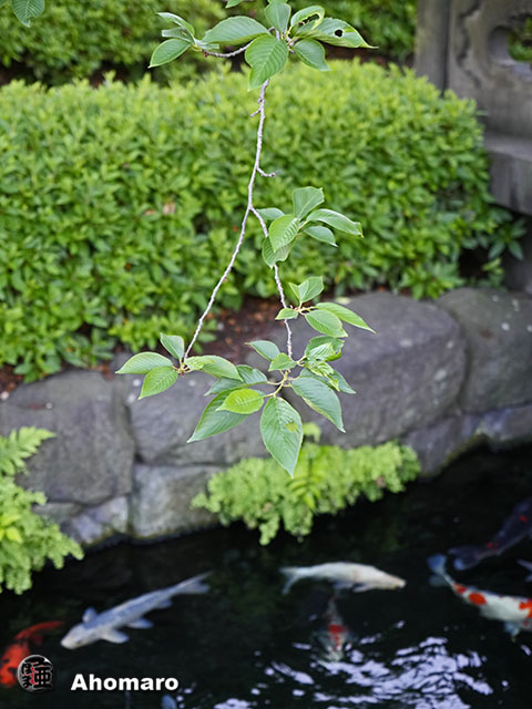 写真00