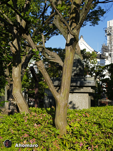 写真00