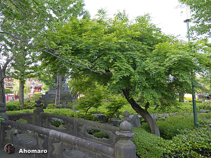 写真00