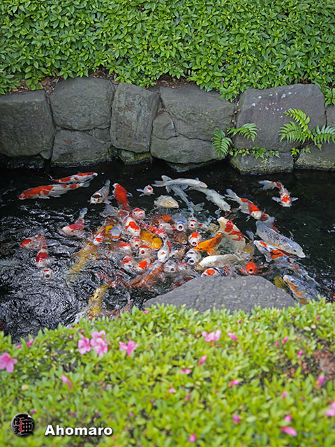 写真00