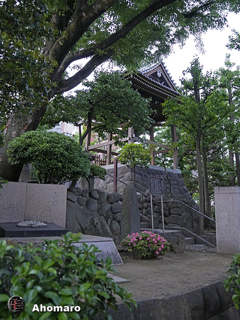 写真00