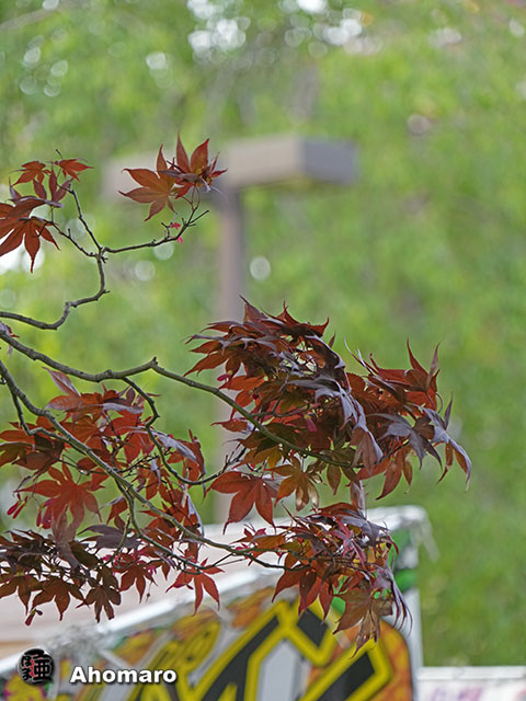 写真00