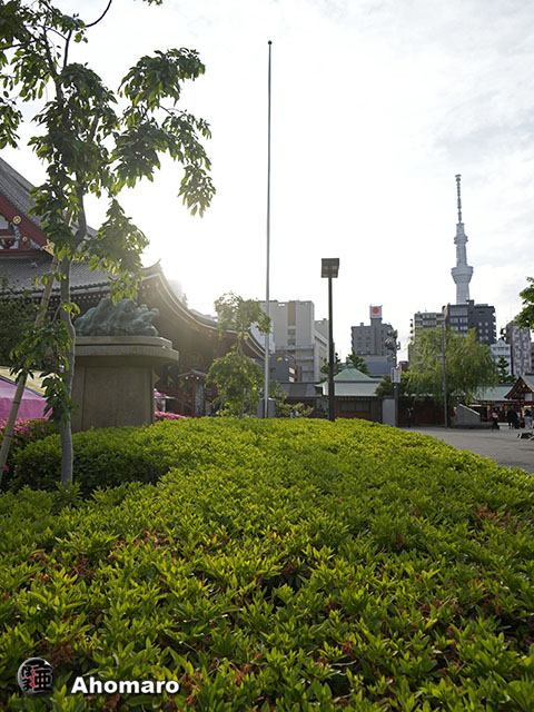 写真00