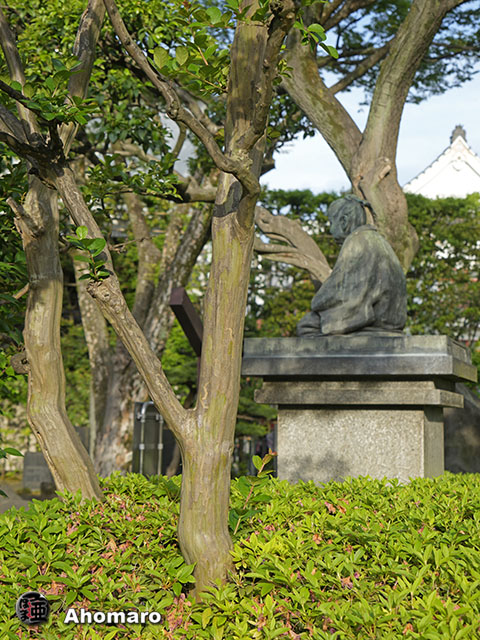 写真00