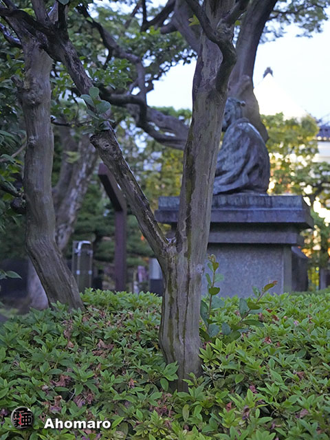写真00