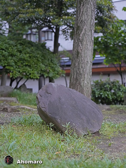 ʐ^00