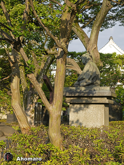 写真00