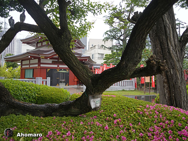 写真00