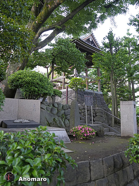 写真00