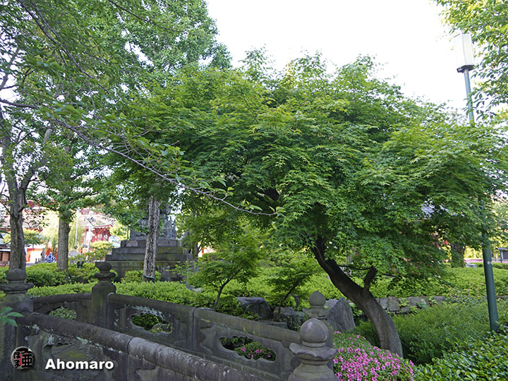 写真00