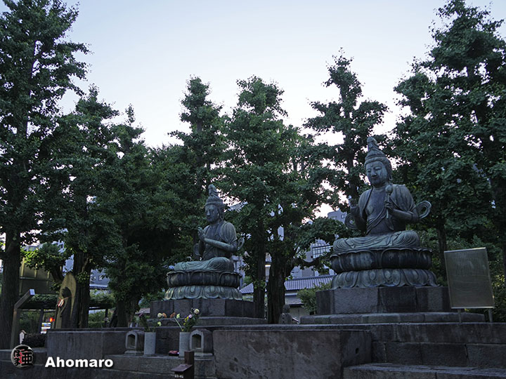写真00