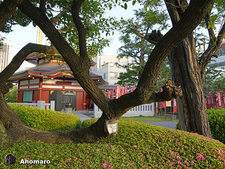 写真00