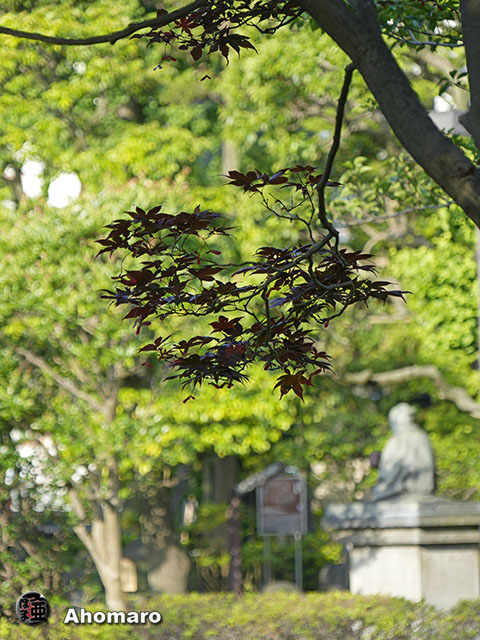 写真00