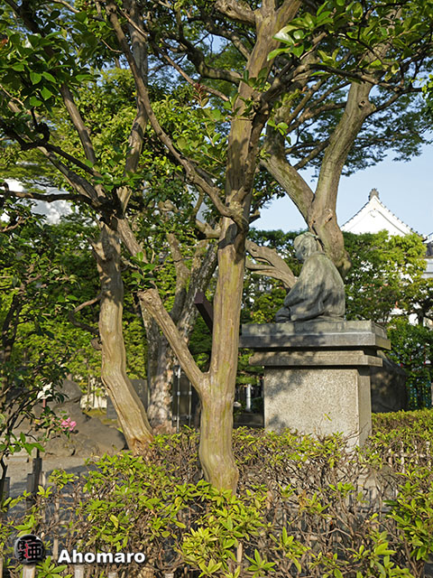 写真00