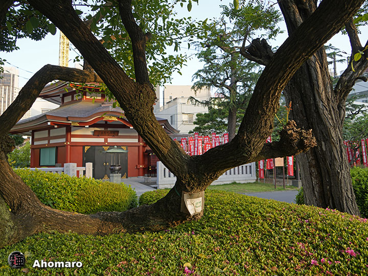 写真00