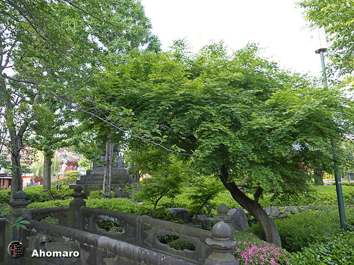 写真00