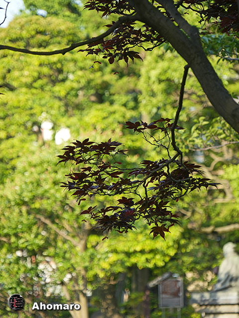 写真00