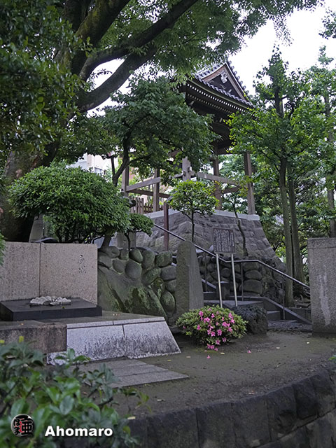 写真00