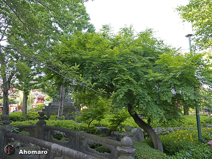 写真00