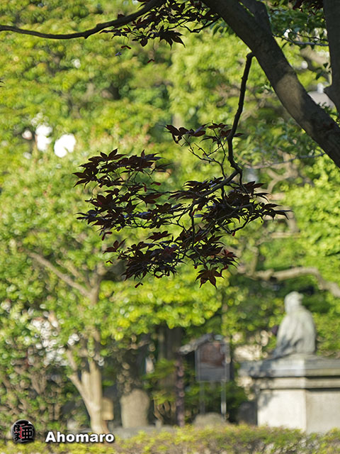 写真00
