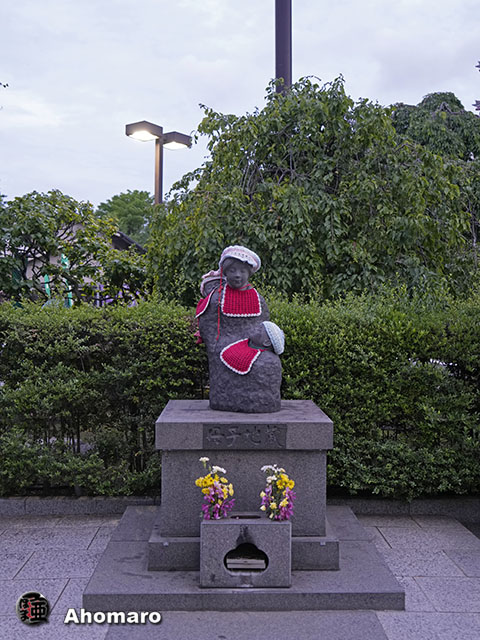 写真00