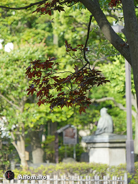 写真00