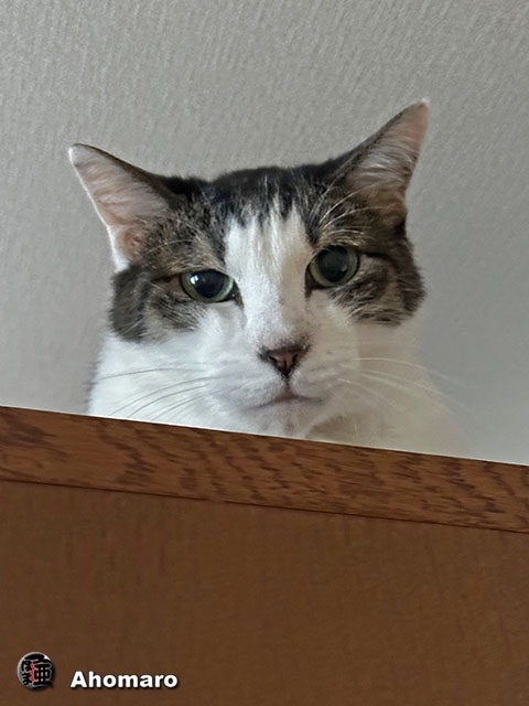 ʐ^00