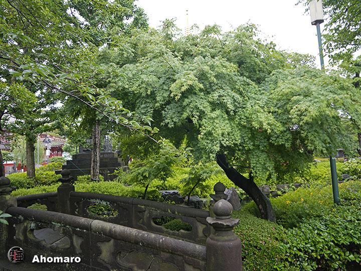 写真00
