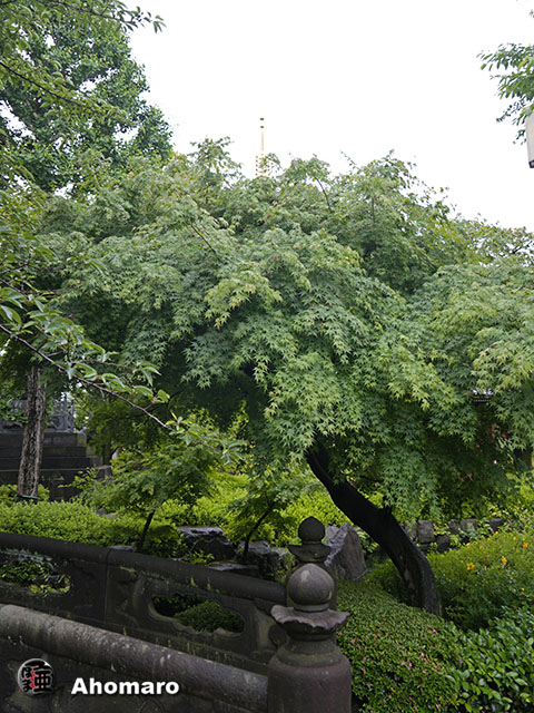 写真00
