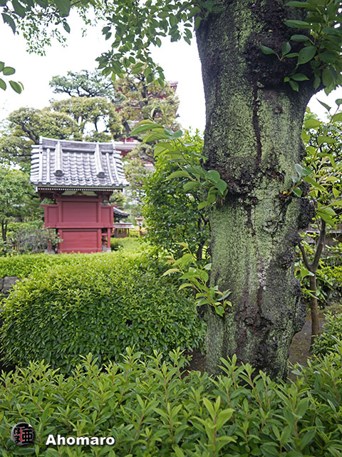 写真00