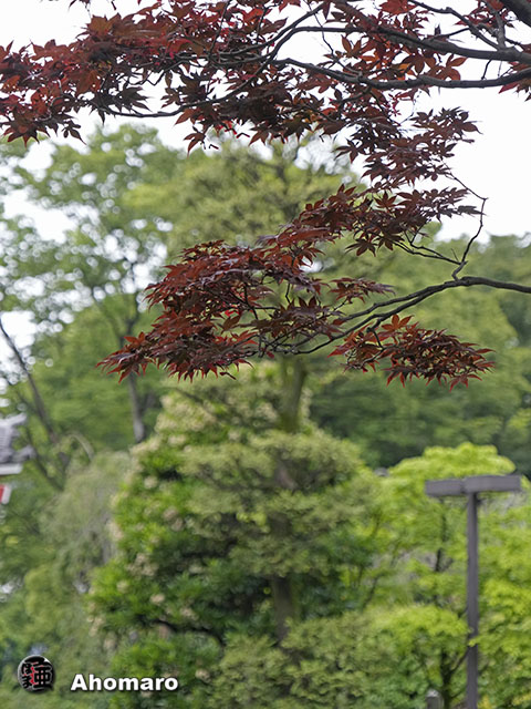 写真00