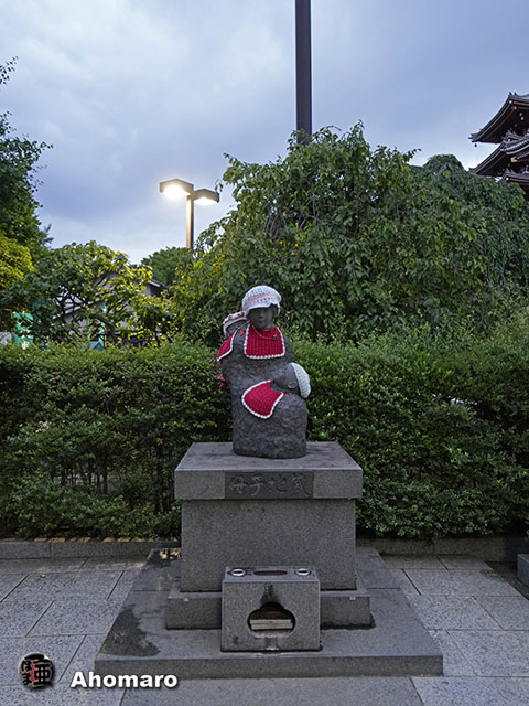 写真00